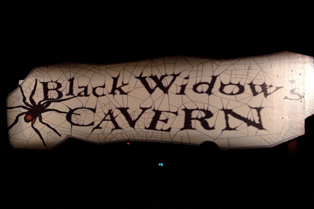 Black Widow's Cavern
