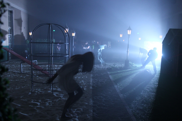 88616bb8-c4c4-401d-bd0a-96b369ae09b2_In-the-Park