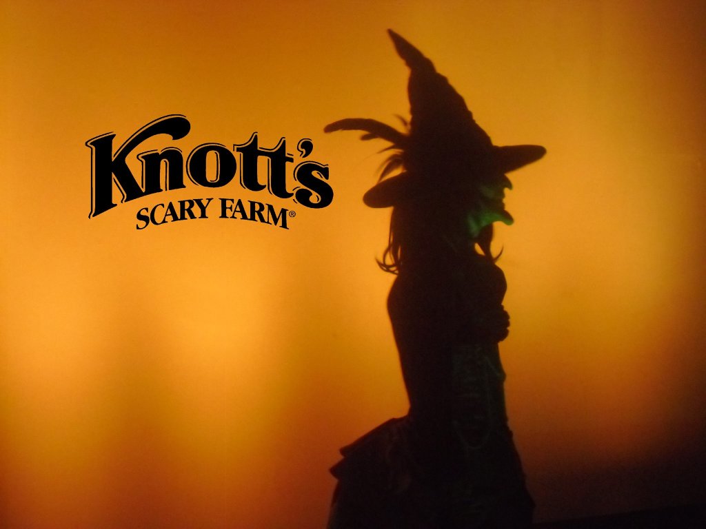 10258982_541558242617567_3467692807735993058_o