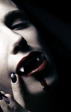 HOLLYWOOD & VAMP: An All New Bloody Rock Show Experience